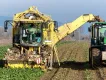 Picture Agriculture et alimentation